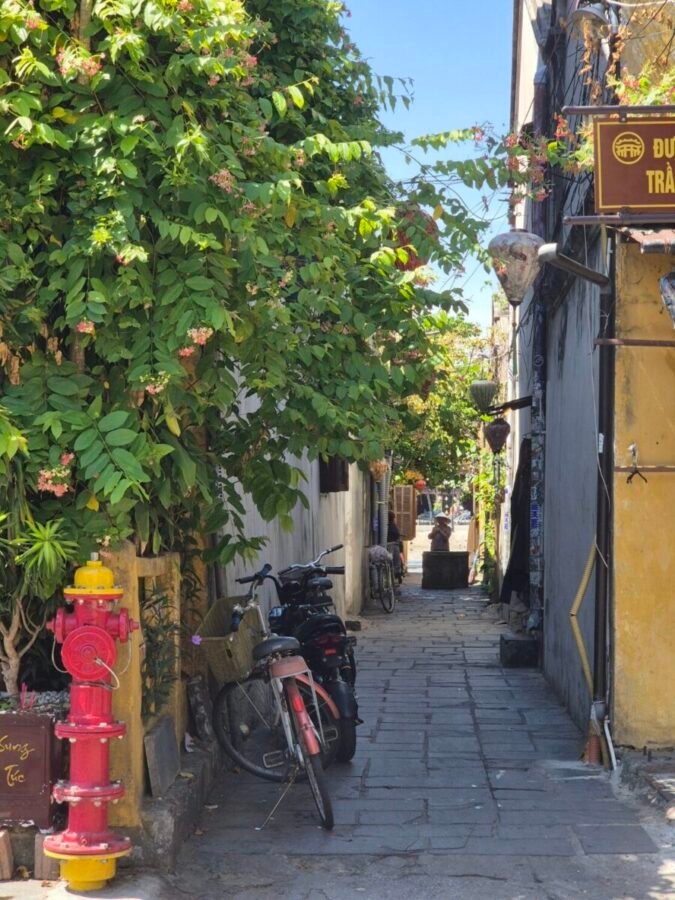 Hoi An quiet laneway Quiet laneway in Hoi An with greenery and a parked bicycle