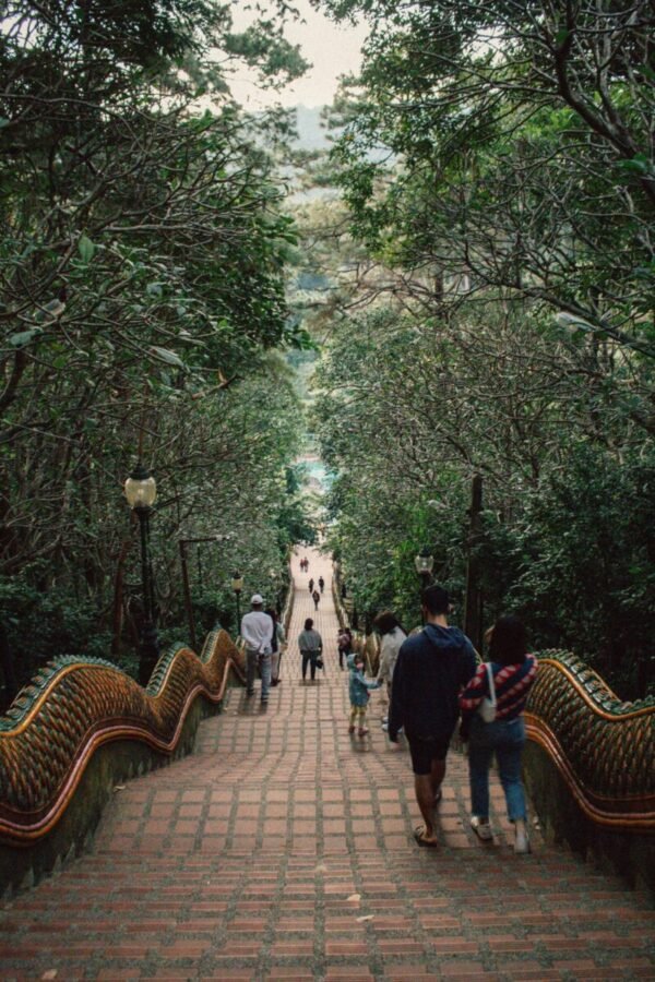 Stone stairway descending through dense greenery in Chiang Mai, with a few people walking at an unhurried pace.