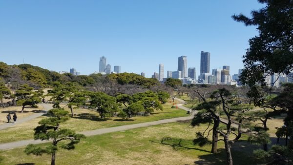 Quiet Japanese garden in Tokyo providing contrast to busy districts