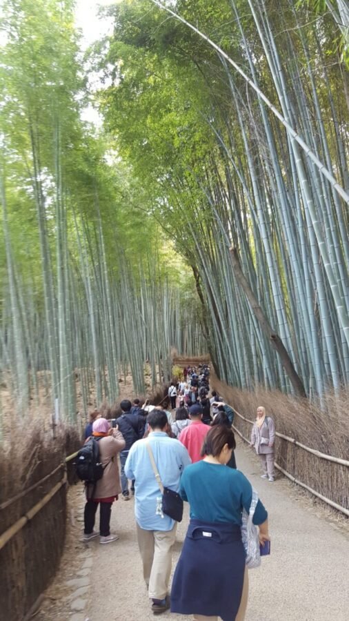 Crowds at a popular site in Kyoto