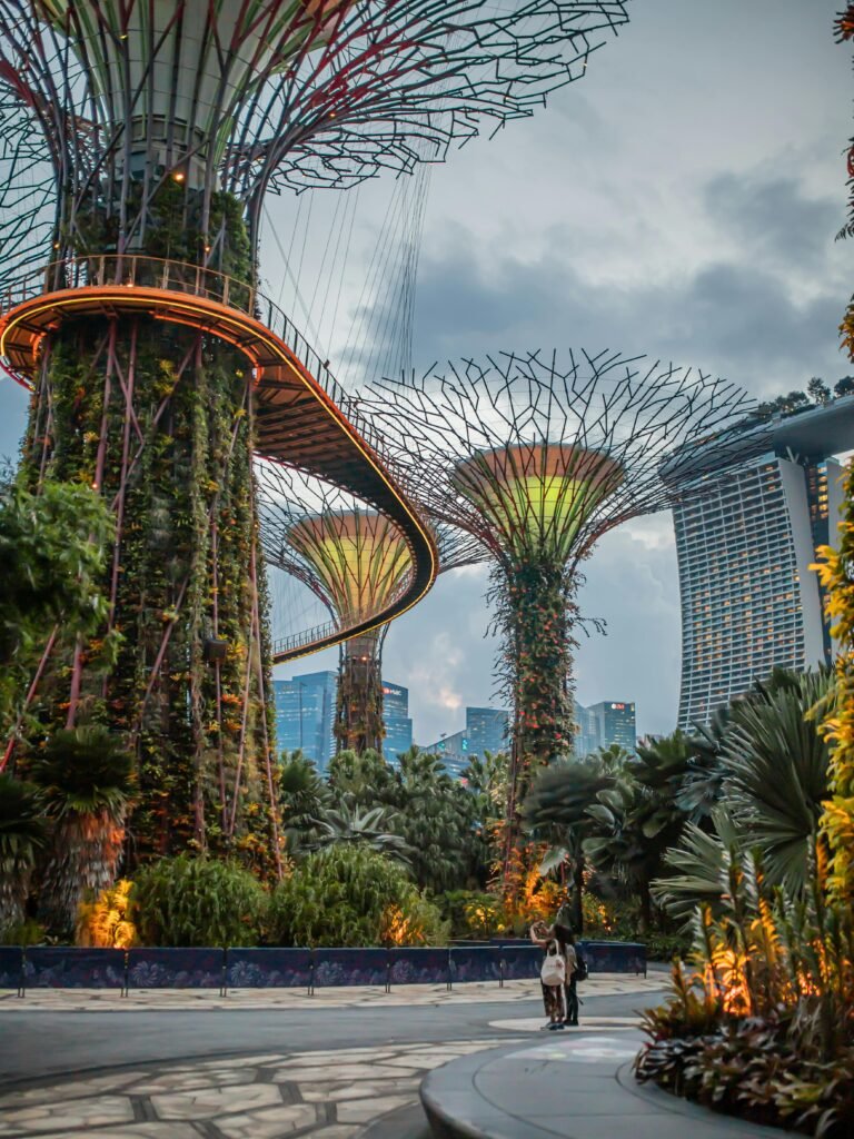 Supertree Grove at Gardens by the Bay Singapore with skywalk and city skyline