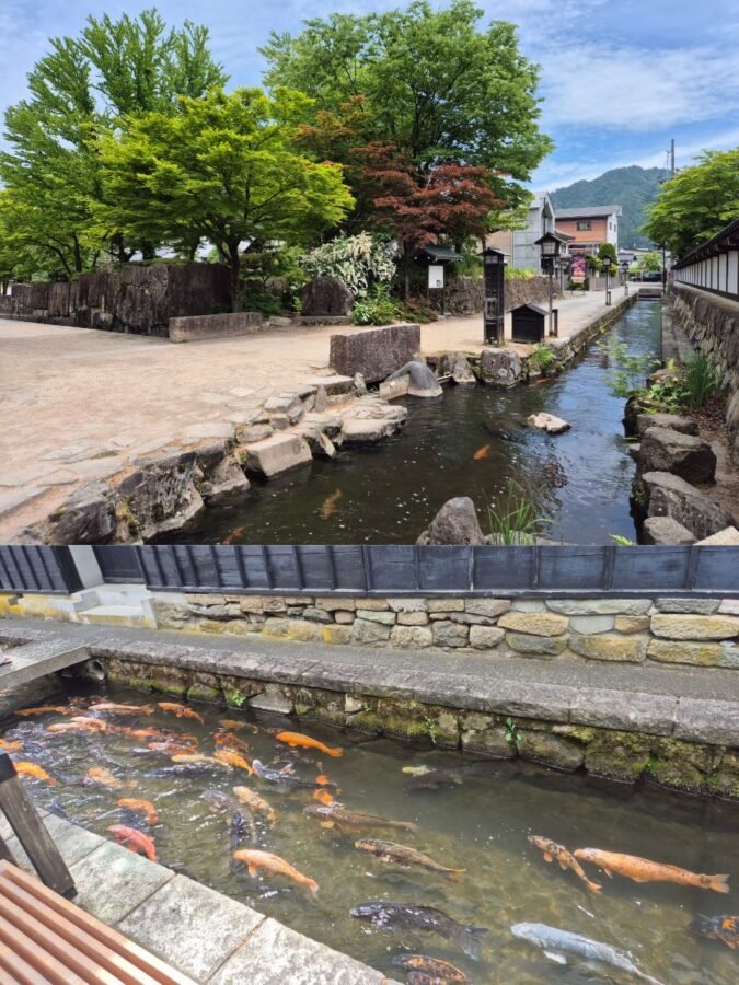 hida-furukawa-setogawa-canal-koi-carp-japan Setogawa Canal in Hida Furukawa with colourful koi carp swimming alongside the historic streets in Gifu Prefecture, Japan.