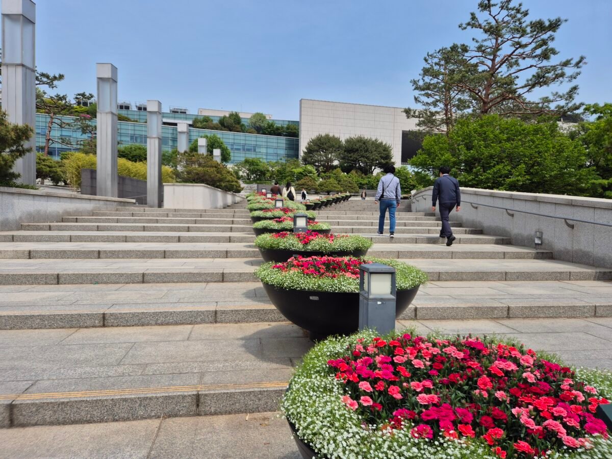 Wide granite steps leading up to the National Museum of Korea, lined with black planters of pink and red flowers and visitors walking up toward the building