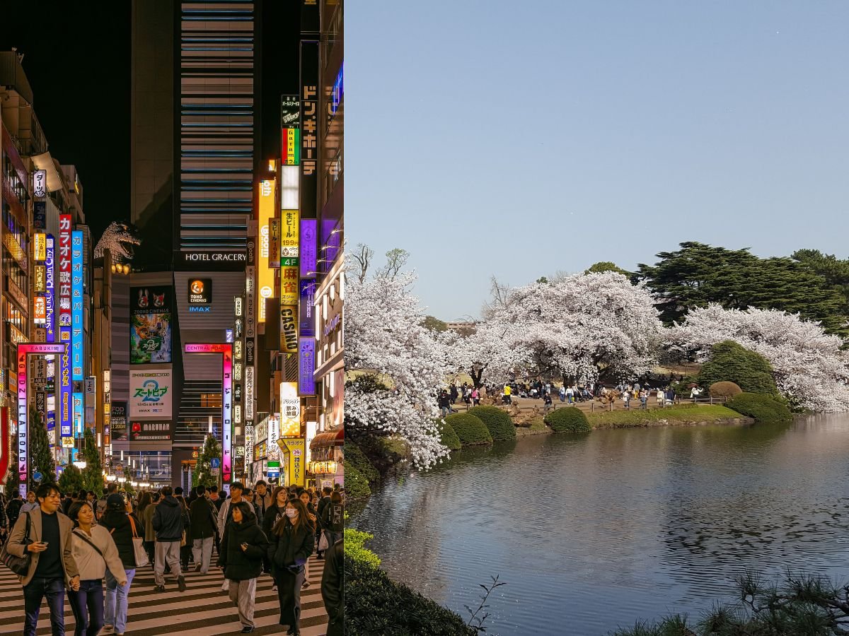 shinjuku-kabukicho-vs-shinjuku-gyoen-contrast Split image contrasting Kabukicho's neon nightlife with the cherry blossoms of Shinjuku Gyoen